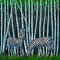 Zebras im Birkenwald (100x100)cm